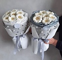 Новинки Флористики